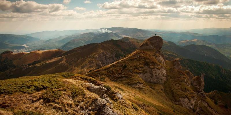 从田间到餐桌：中小型农场如何借力生鲜配送平台，以艺术涂鸦风格打造新鲜蔬菜直销品牌
