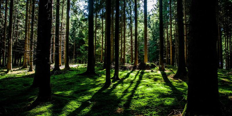 在线购物新趋势：夜间与预约配送如何重塑新鲜蔬菜与健康食品消费体验