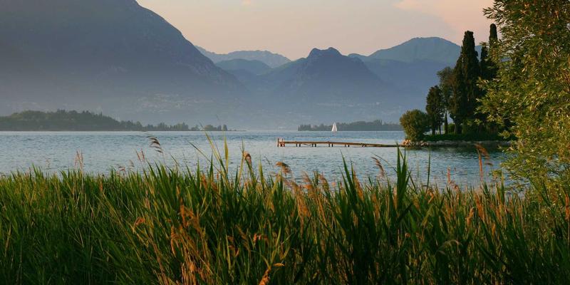 城市夜间配送策略：如何利用非高峰时段提升有机食品与健康食品配送时效