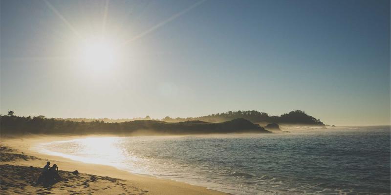 当生鲜配送邂逅艺术涂鸦：一场电商领域的风格革命