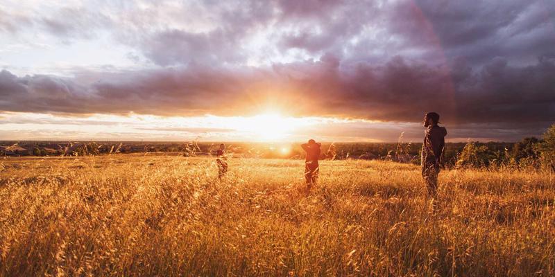 当生鲜配送邂逅艺术涂鸦:有机食品品牌如何用创意破圈
