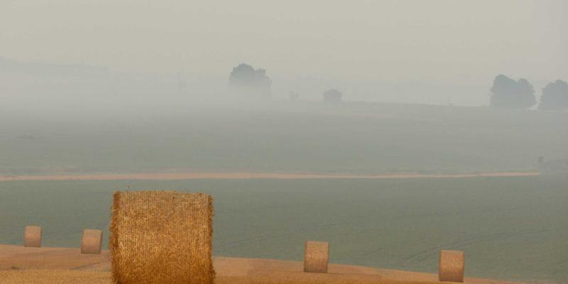 当艺术涂鸦遇见健康生鲜：一场颠覆传统的食品配送革命