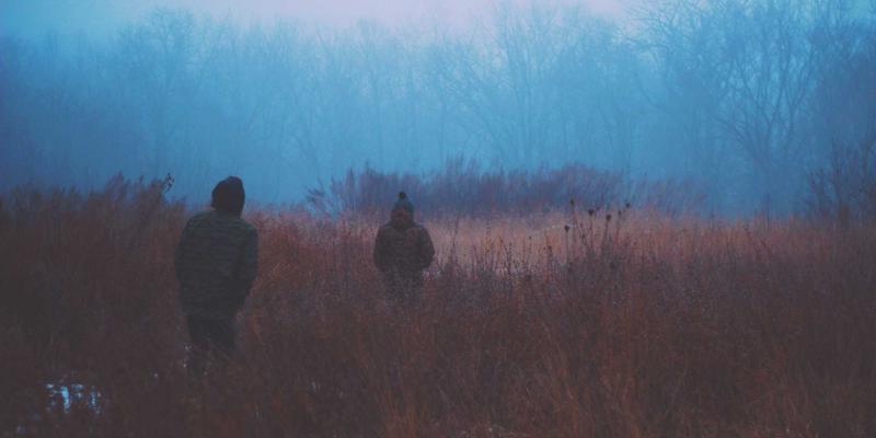 新鲜蔬菜电商的艺术：用涂鸦式策略应对季节性供应波动与价格风险
