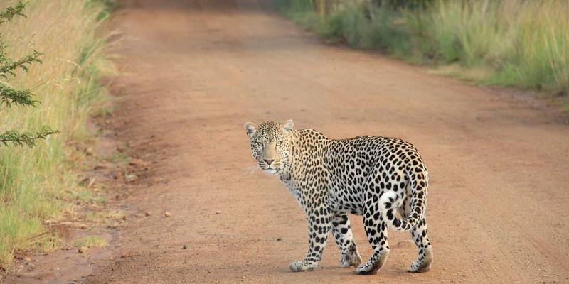 有机食品电商突围战：五大冷链技术手段破解生鲜配送成本困局