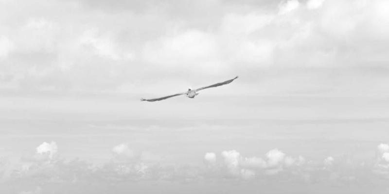 极端天气下的安心餐桌：生鲜配送企业如何保障您的在线购物与健康食品供应