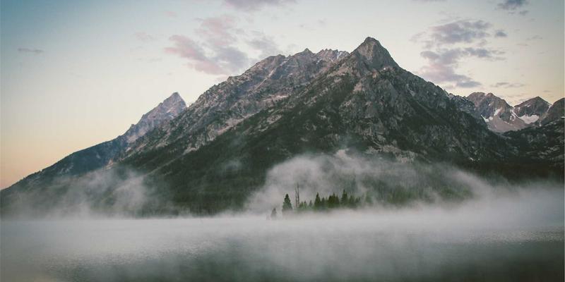生鲜配送3.0时代：有机食品如何借力电商重塑现代餐桌