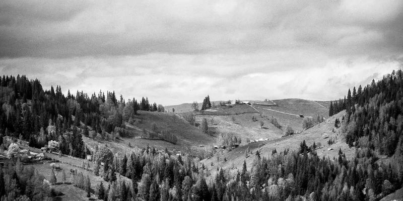 生鲜配送4.0时代：在线购物如何重塑有机健康食品消费新生态