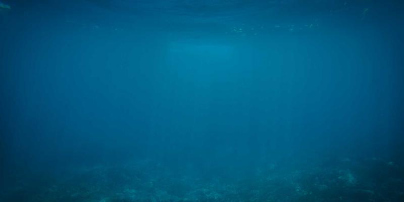 生鲜配送54：当新鲜蔬菜与有机食品邂逅艺术涂鸦风