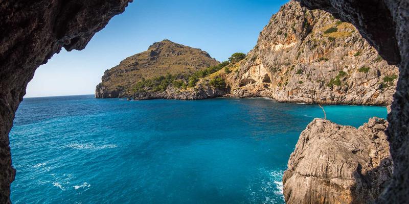 生鲜配送59：如何通过新鲜蔬菜与食品配送服务，轻松构建健康饮食生活