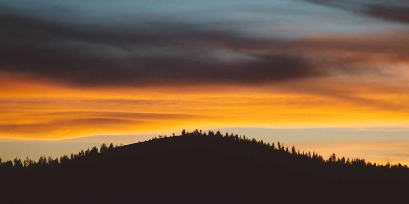生鲜配送64：当健康食品邂逅艺术涂鸦，重新定义餐桌美学