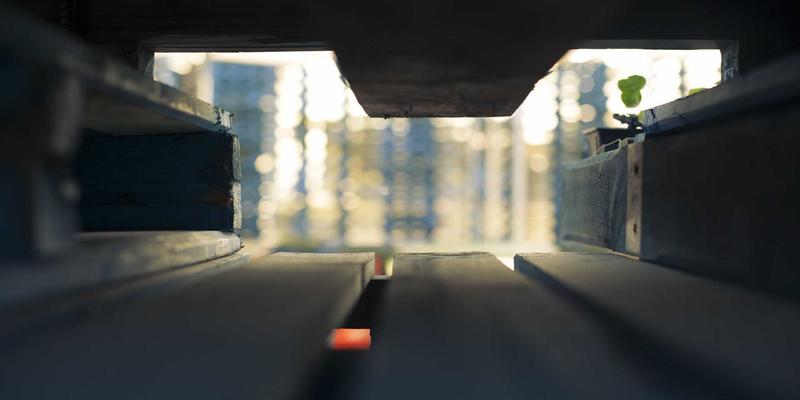 生鲜配送怎么用？从下单到收货的艺术涂鸦风格全攻略