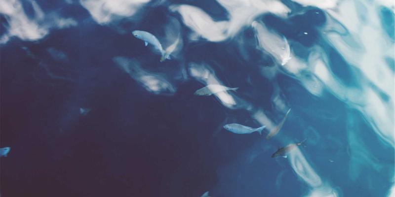 生鲜配送损耗控制技术：从预冷处理到智能监控，电商如何守护蔬菜新鲜度