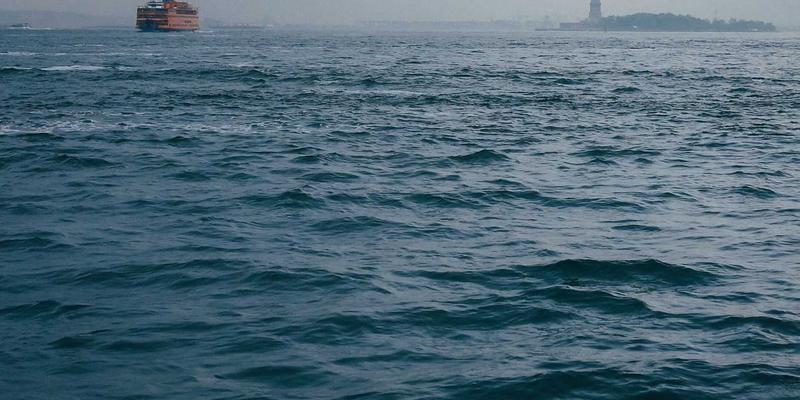 电商新浪潮：艺术涂鸦风格如何重塑生鲜配送的订阅制体验与客户留存