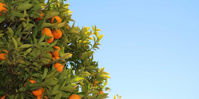 电商新零售：艺术涂鸦风格社区生鲜自提柜的运营模式与选址策略