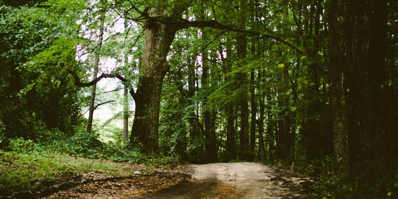 社区团购赋能生鲜配送：整合本地资源与优化最后一公里配送的实践路径