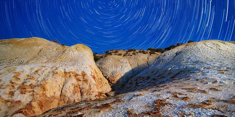 高端生鲜配送市场深度解析：有机食品电商的客户需求、供应链挑战与品牌突围之道